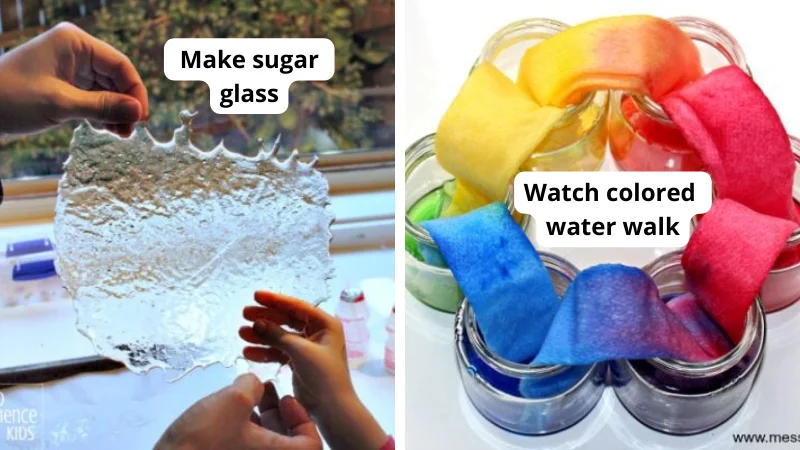 38 Fun and Free Kindergarten Science Activities for Budding Scientists