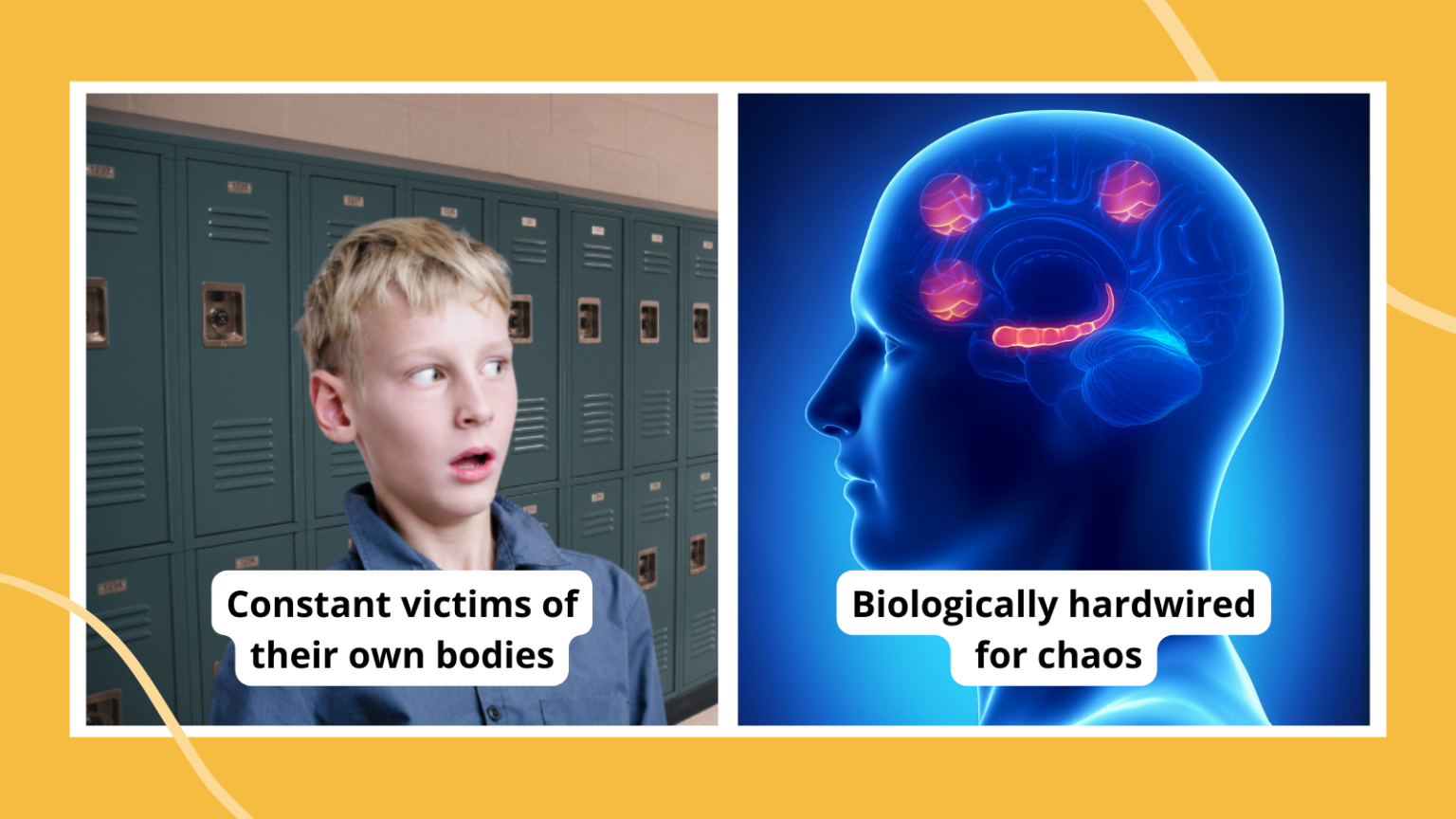 Why Teaching Middle School Is So Hard Maryland K12
